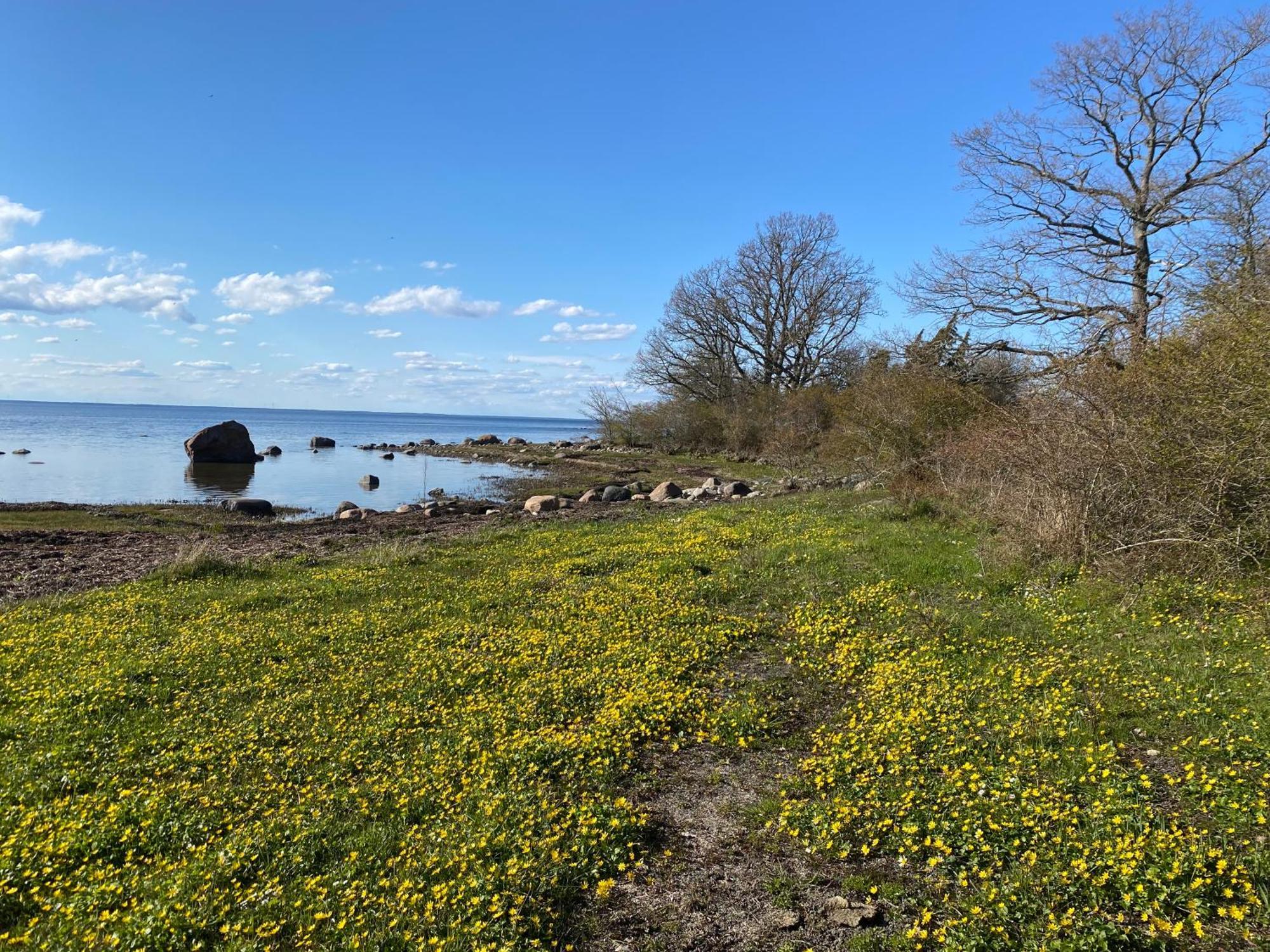 Gård Halltorps hage Borgholm Exteriör bild