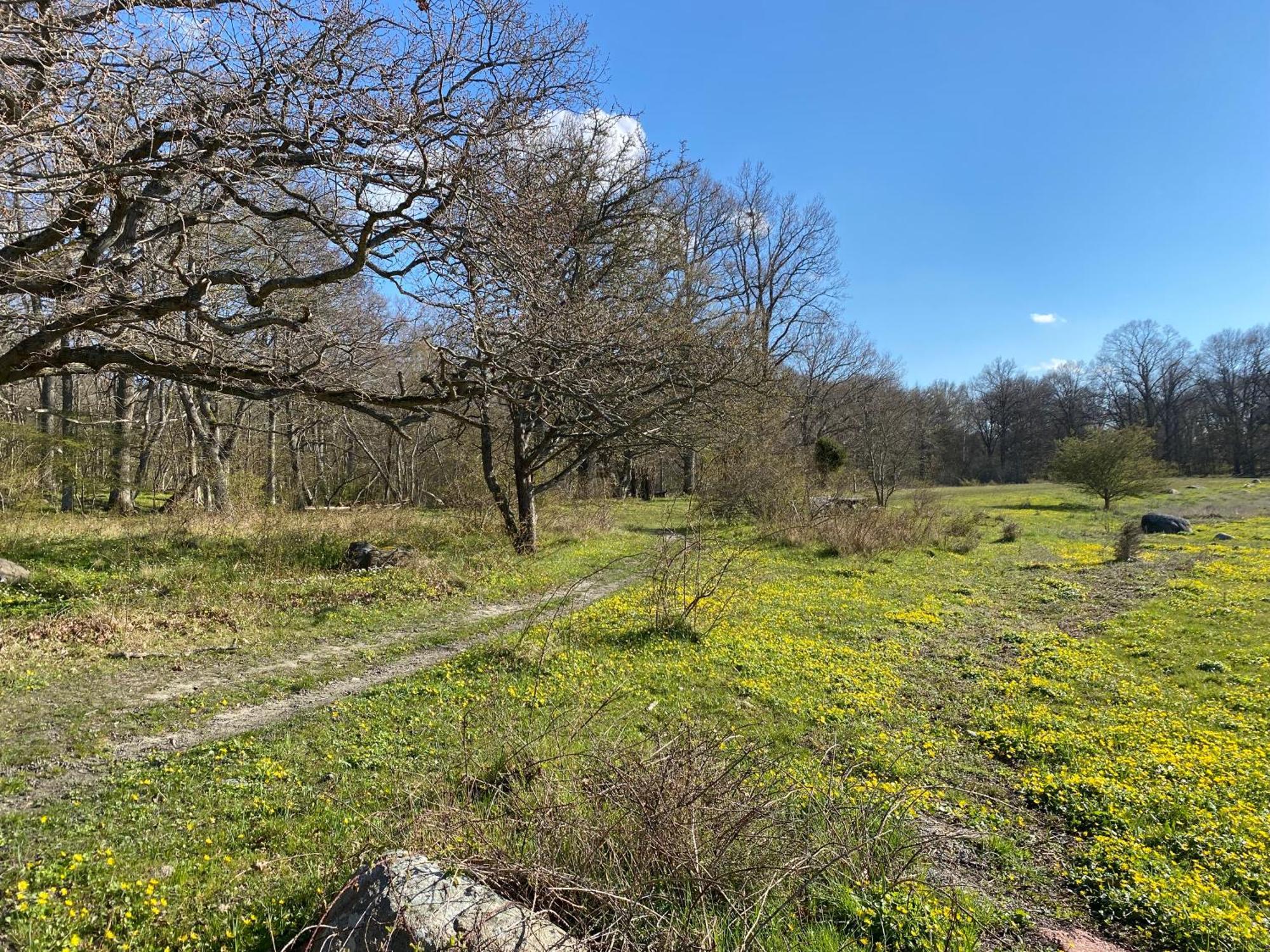 Gård Halltorps hage Borgholm Exteriör bild